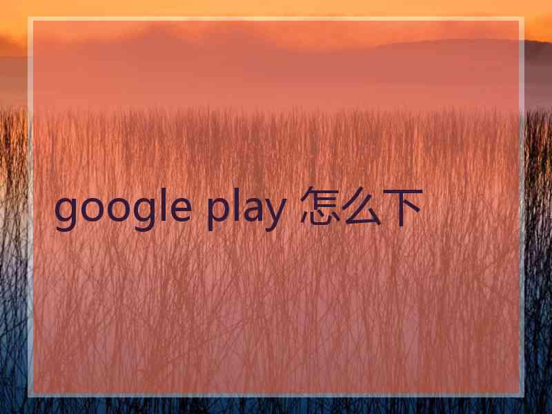 google play 怎么下