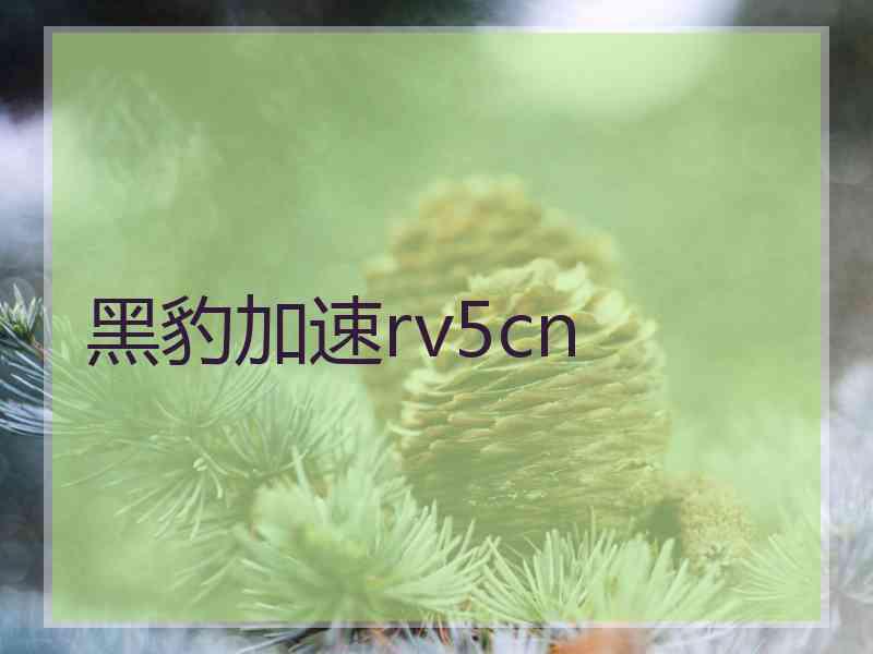 黑豹加速rv5cn