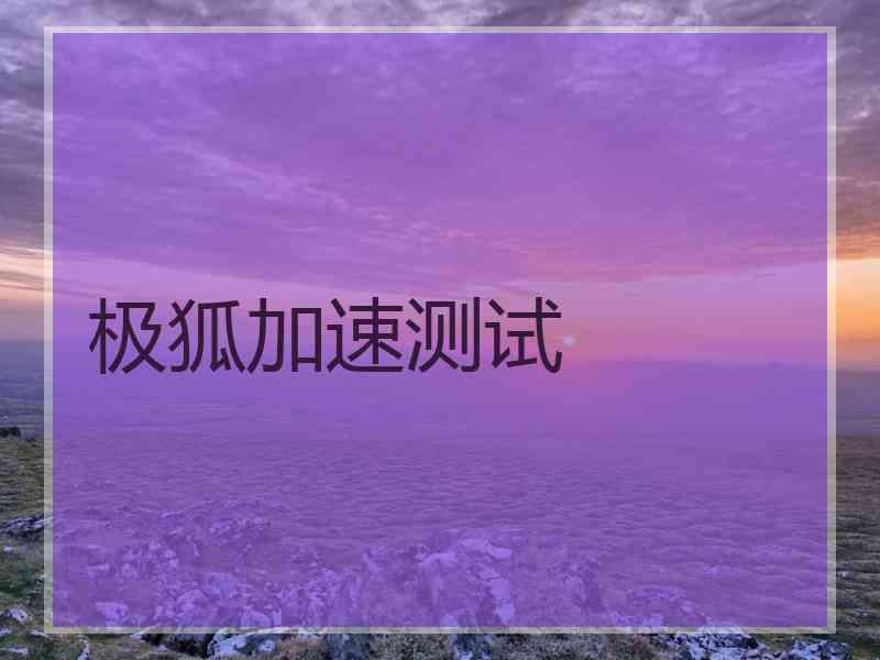 极狐加速测试