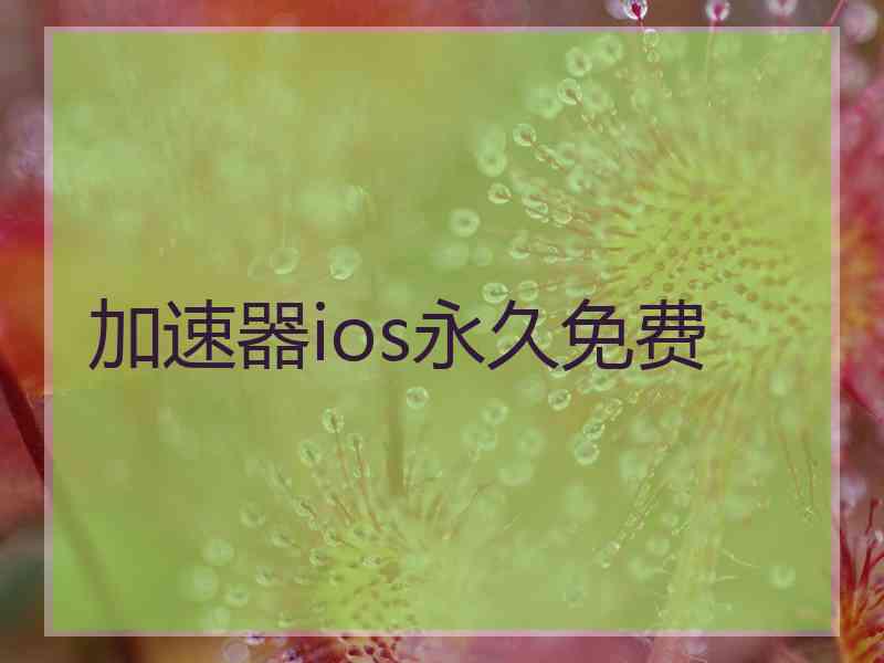 加速器ios永久免费
