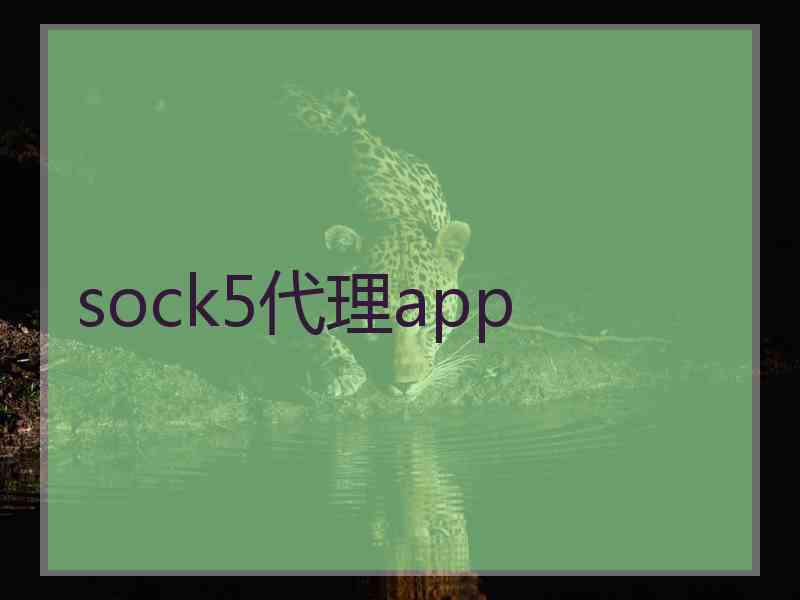 sock5代理app