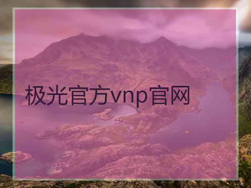 极光官方vnp官网