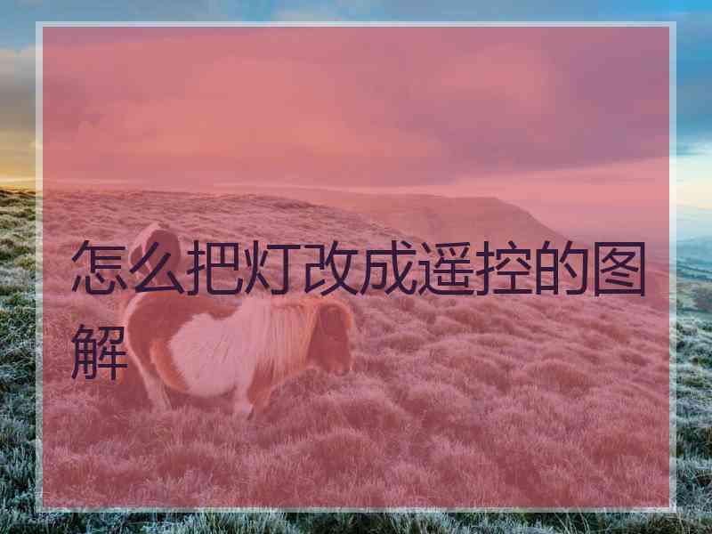 怎么把灯改成遥控的图解