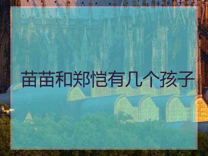苗苗和郑恺有几个孩子
