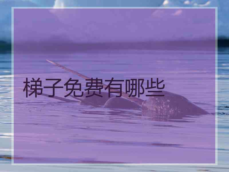 梯子免费有哪些