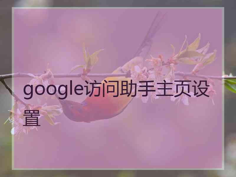 google访问助手主页设置