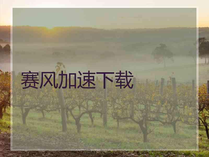 赛风加速下载
