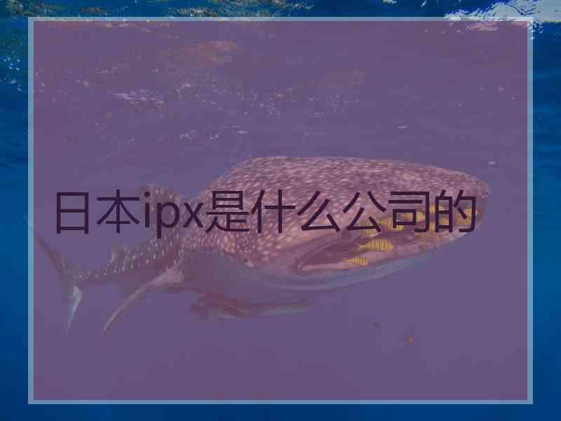日本ipx是什么公司的