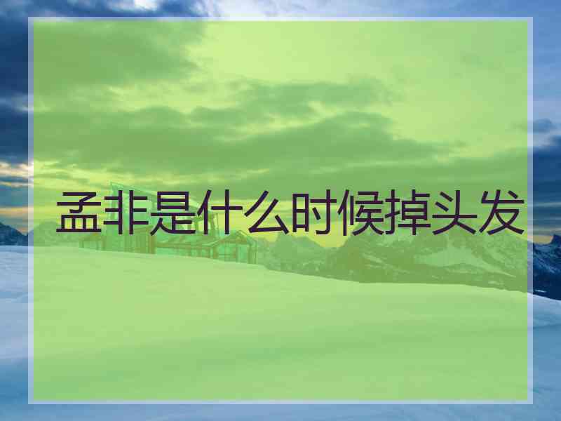 孟非是什么时候掉头发