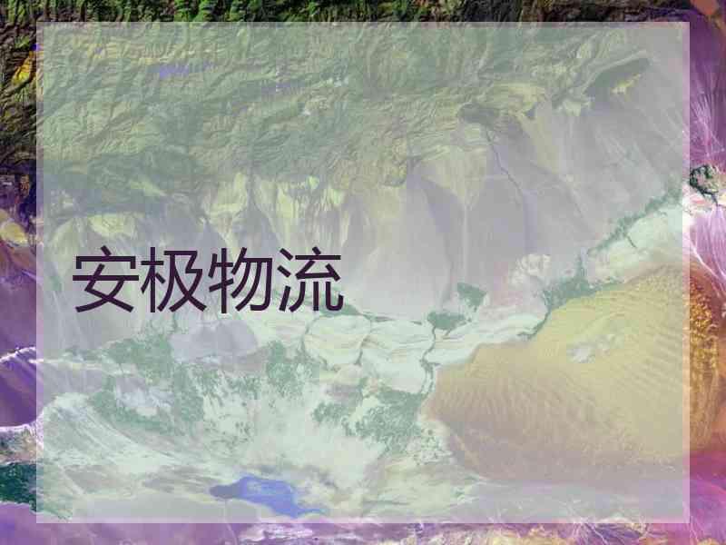 安极物流