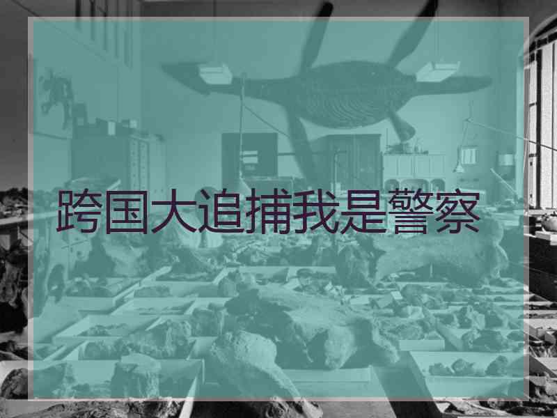 跨国大追捕我是警察