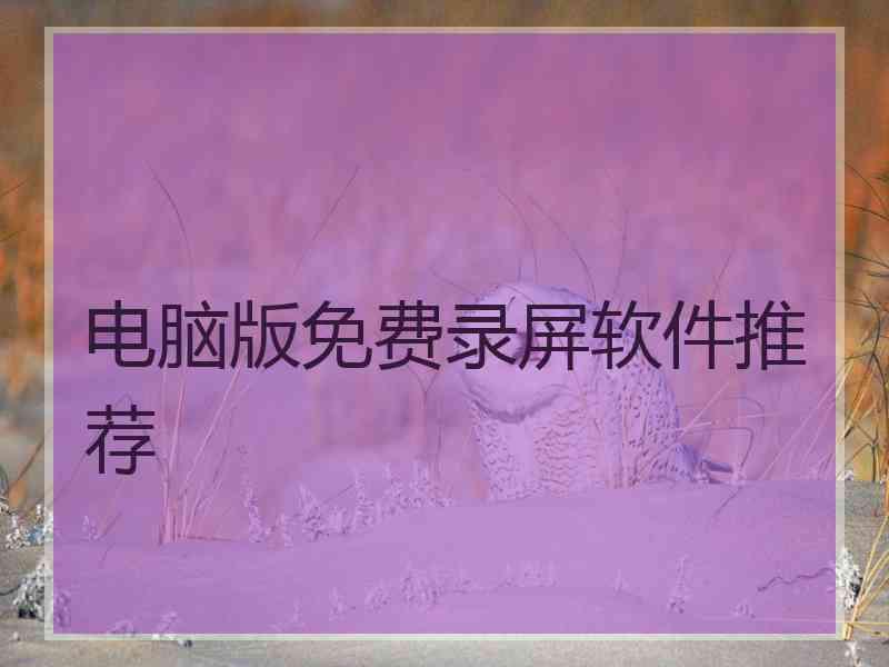 电脑版免费录屏软件推荐
