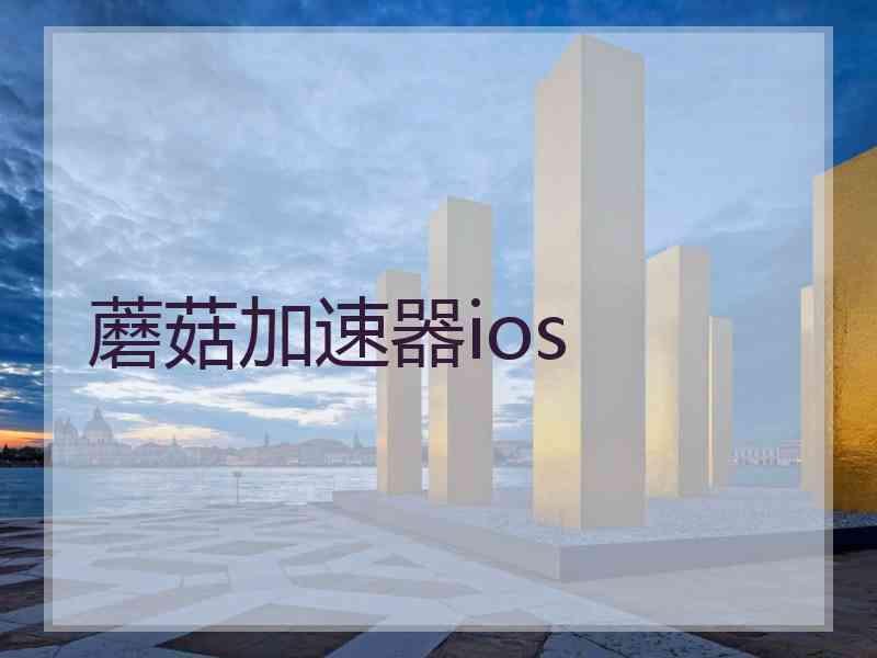 蘑菇加速器ios