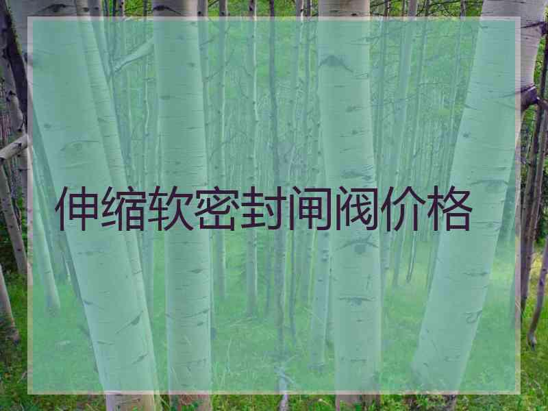 伸缩软密封闸阀价格