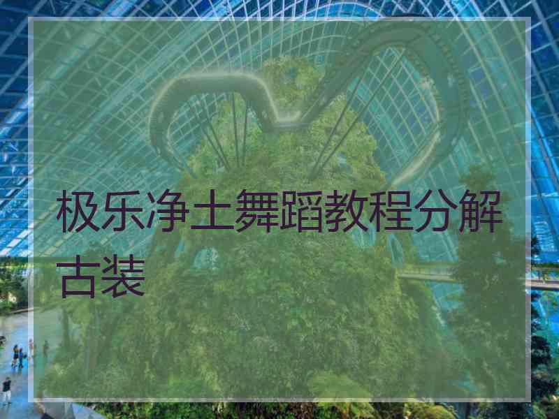 极乐净土舞蹈教程分解古装