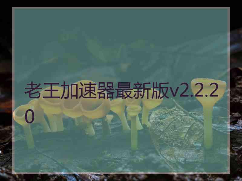 老王加速器最新版v2.2.20