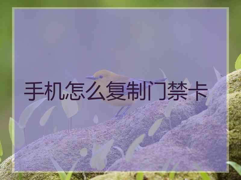 手机怎么复制门禁卡