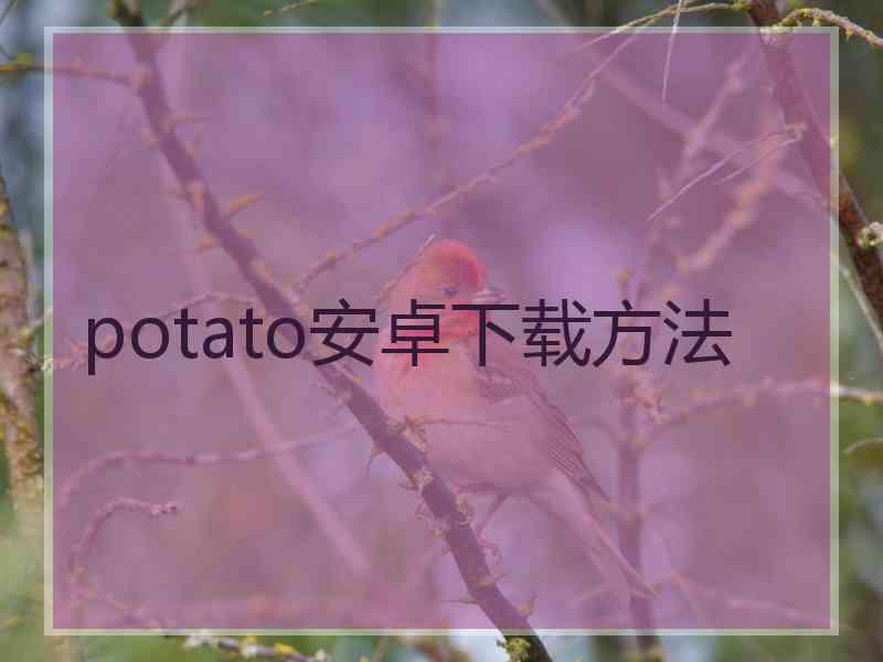 potato安卓下载方法