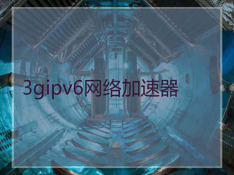 3gipv6网络加速器