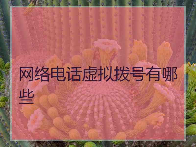 网络电话虚拟拨号有哪些