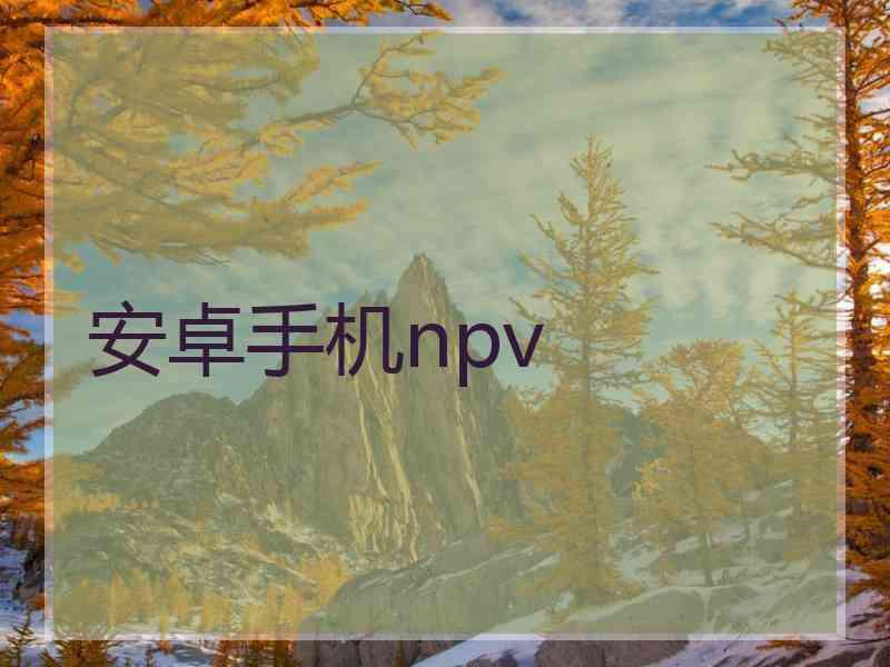 安卓手机npv