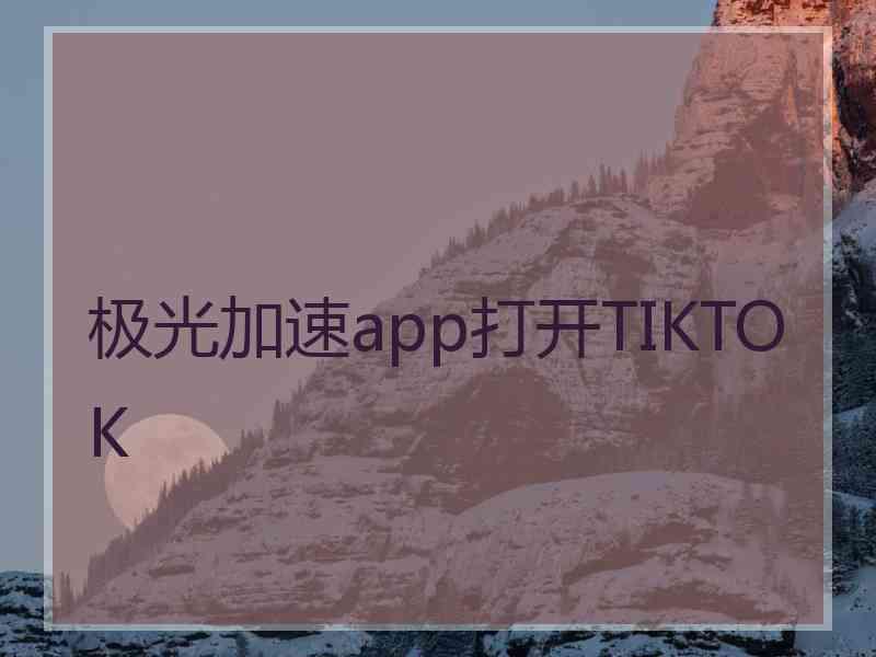 极光加速app打开TIKTOK