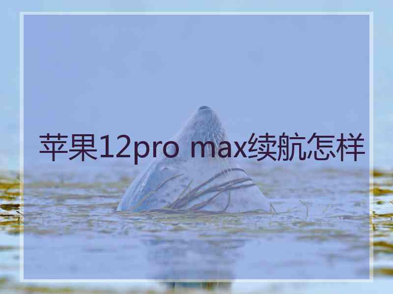 苹果12pro max续航怎样