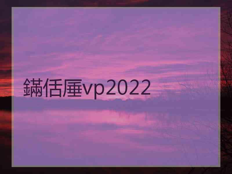 鏋佸厜vp2022