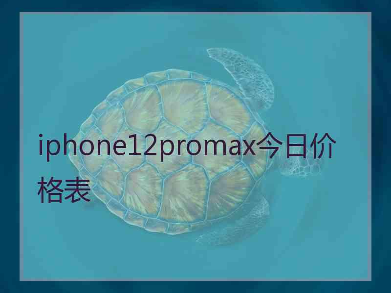 iphone12promax今日价格表