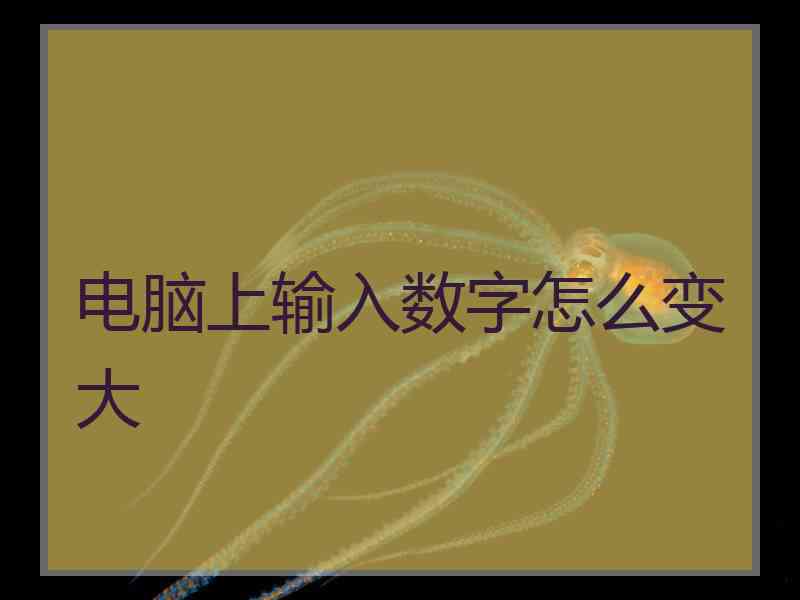 电脑上输入数字怎么变大