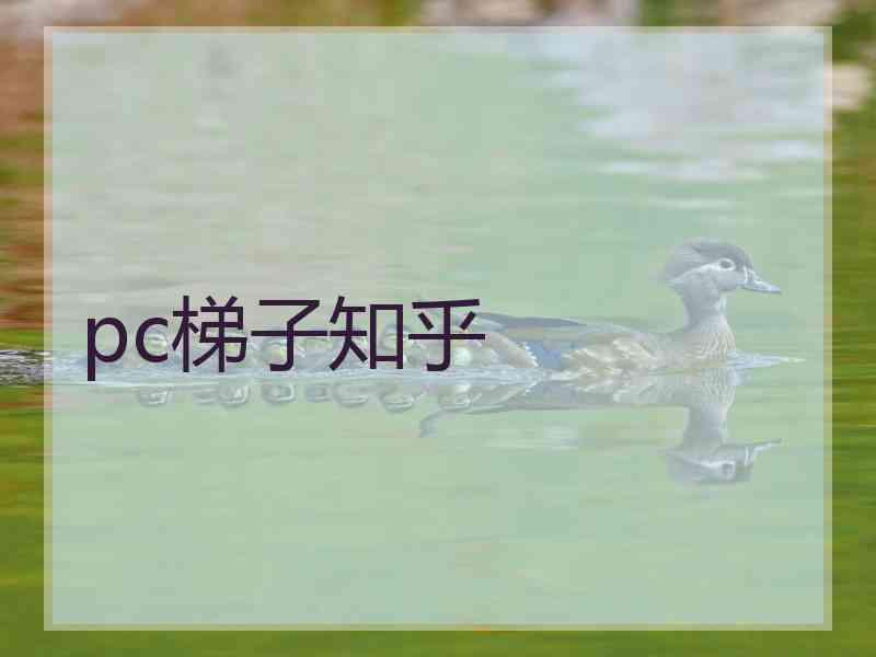 pc梯子知乎