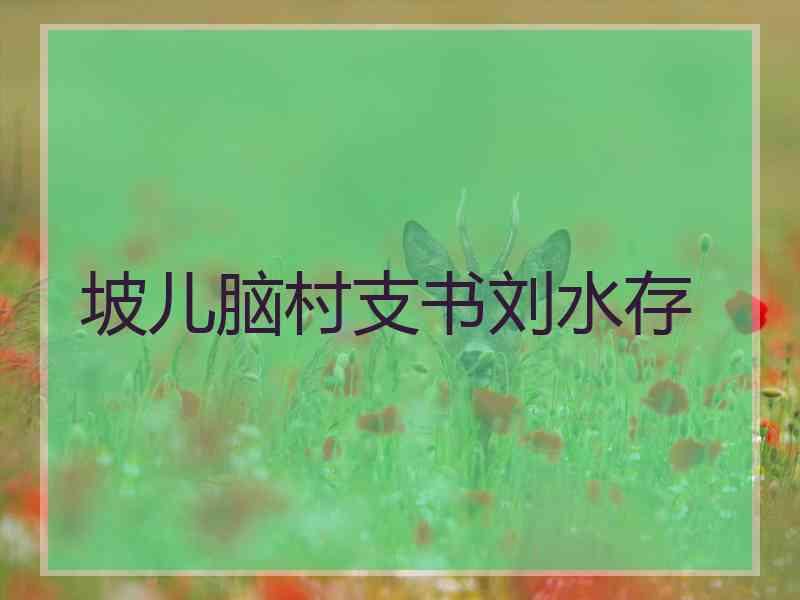 坡儿脑村支书刘水存