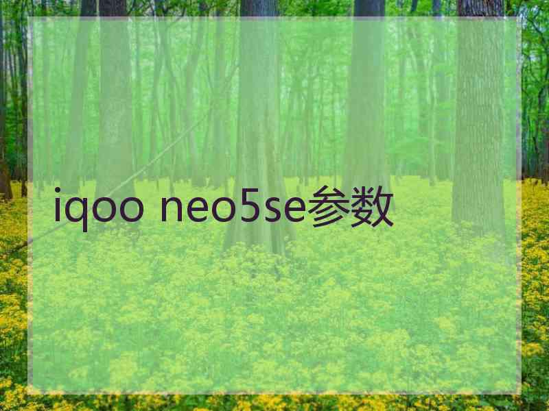 iqoo neo5se参数