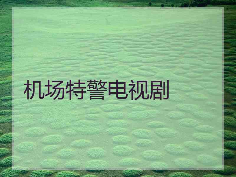 机场特警电视剧