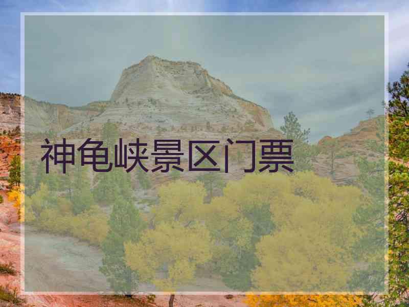 神龟峡景区门票