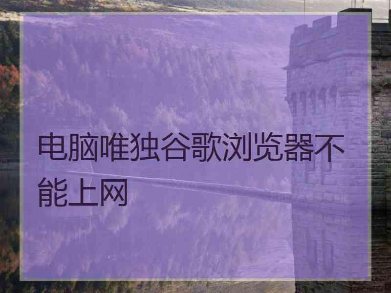 电脑唯独谷歌浏览器不能上网
