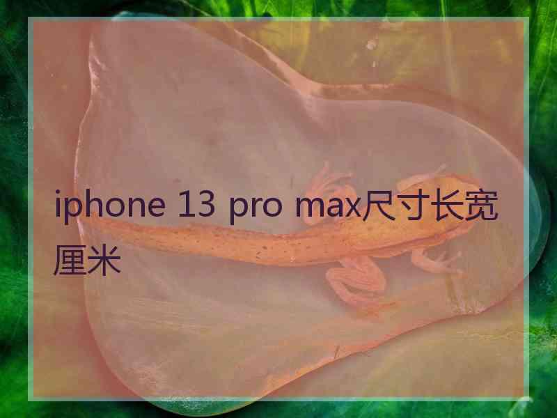 iphone 13 pro max尺寸长宽厘米
