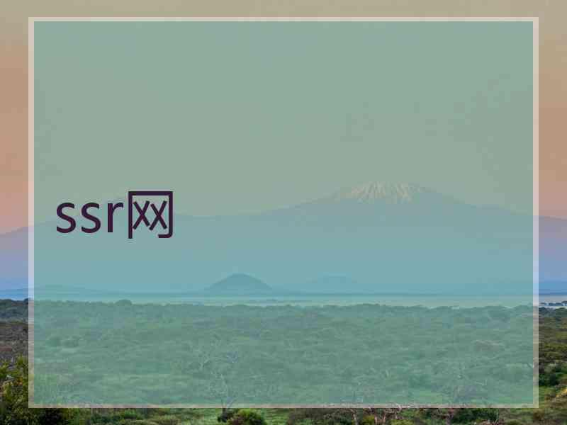 ssr网