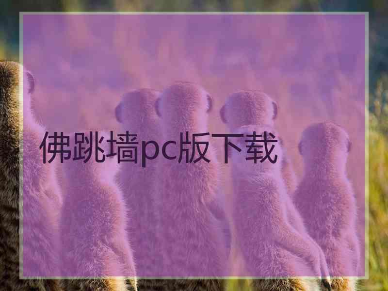 佛跳墙pc版下载