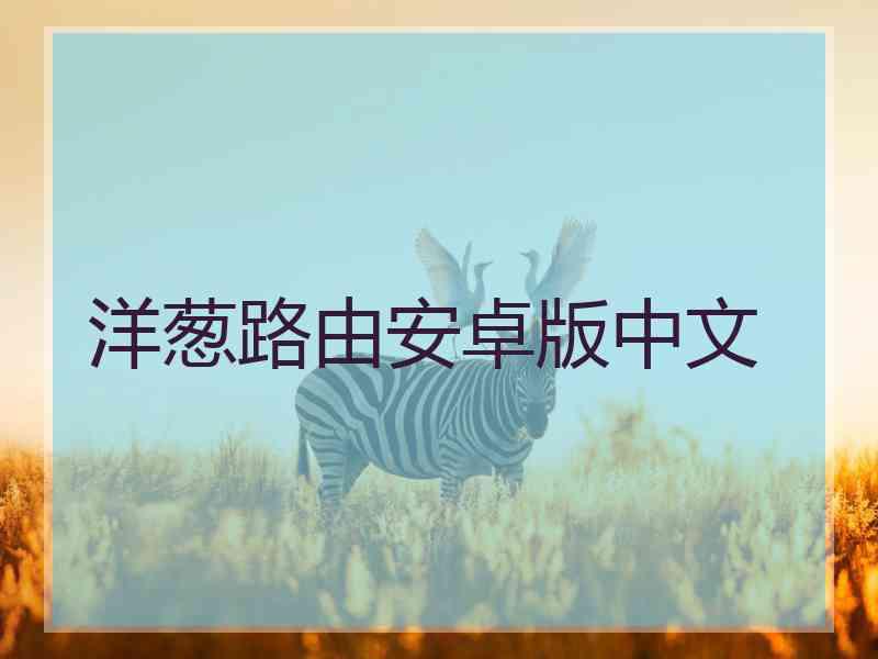 洋葱路由安卓版中文