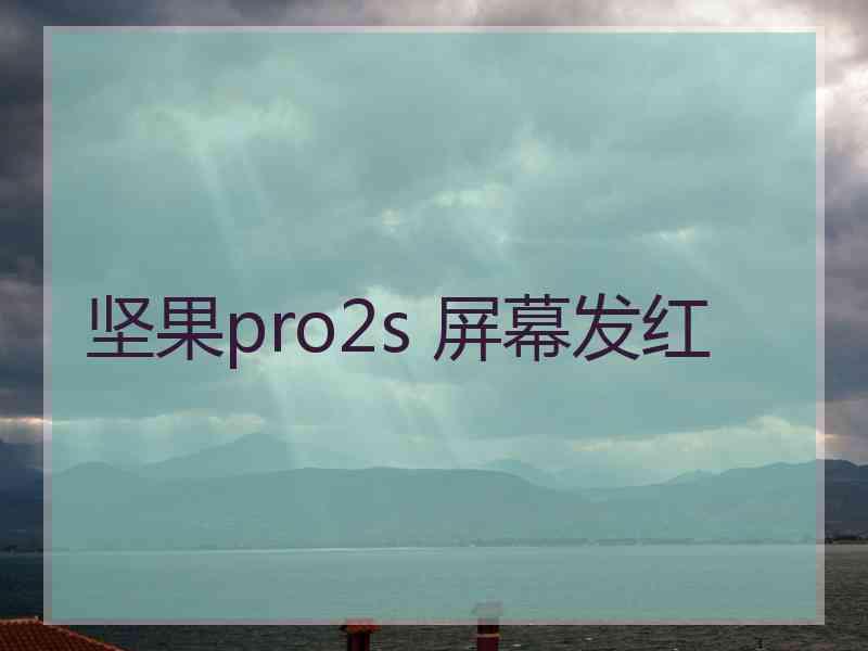坚果pro2s 屏幕发红