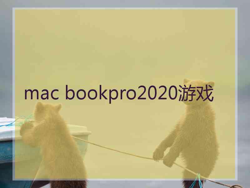 mac bookpro2020游戏