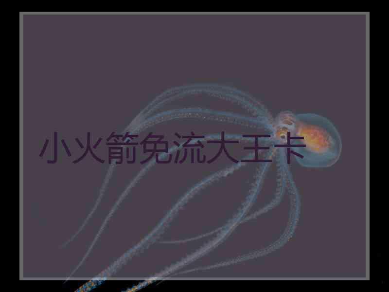 小火箭免流大王卡
