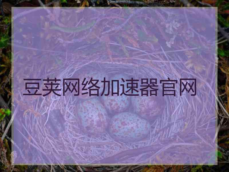 豆荚网络加速器官网