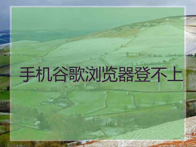 手机谷歌浏览器登不上