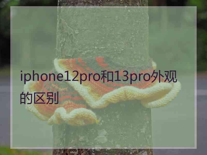 iphone12pro和13pro外观的区别
