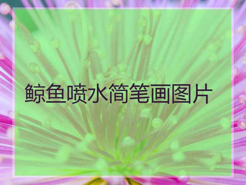 鲸鱼喷水简笔画图片