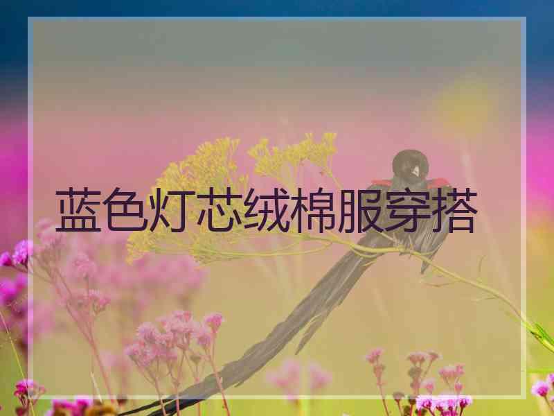 蓝色灯芯绒棉服穿搭