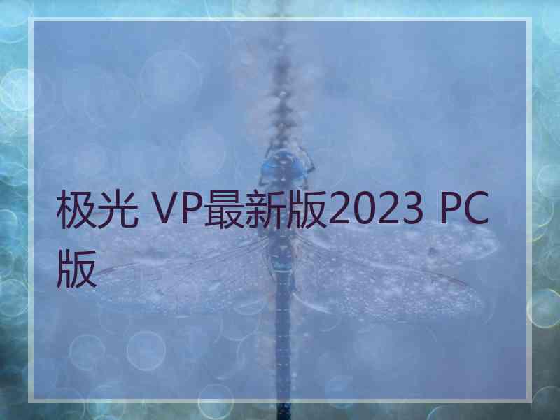 极光 VP最新版2023 PC版