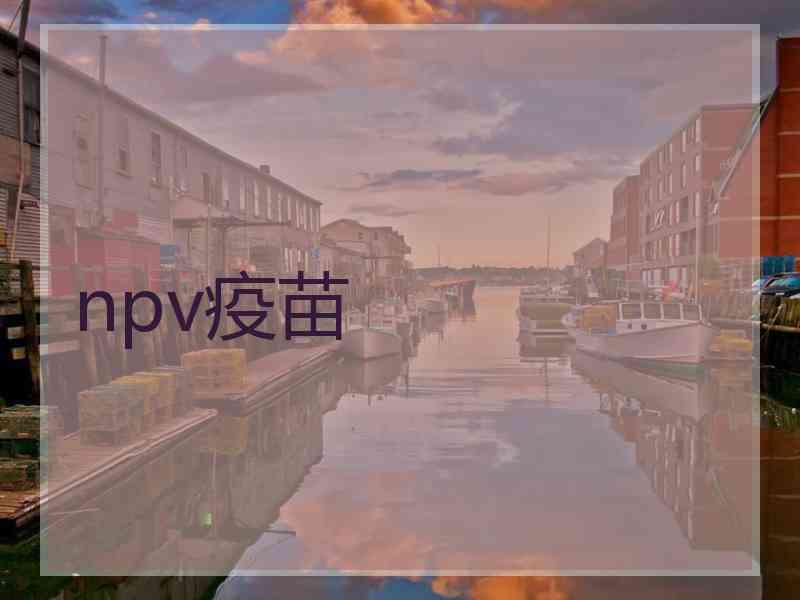 npv疫苗
